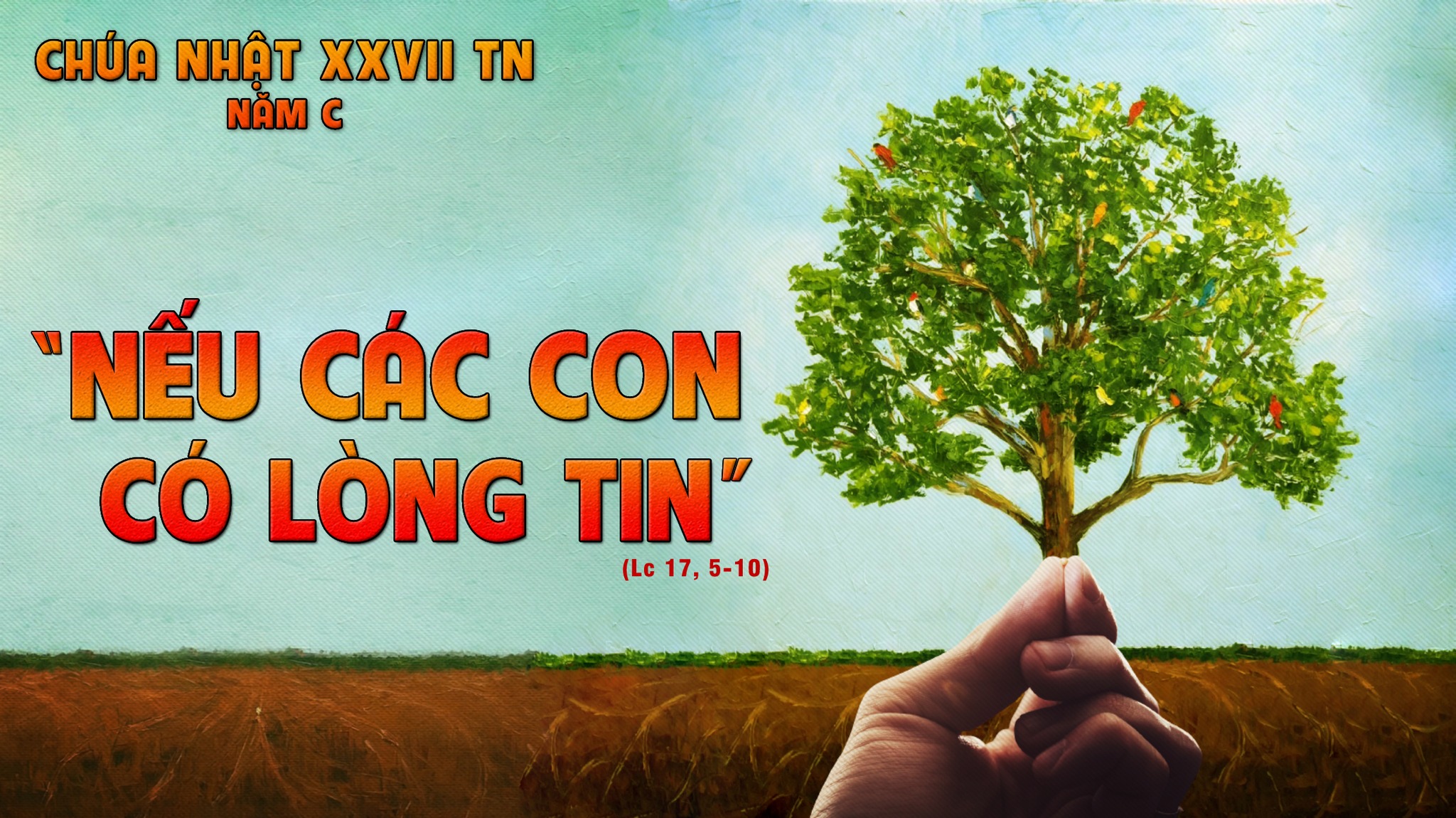Chúa Nhật Tuần  XXVII Mùa Thường Niên - Năm C